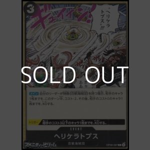画像: 【C】ヘリケラトプス