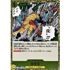 画像: 【R】破壊弦