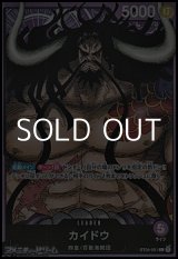 画像: 【L】カイドウ