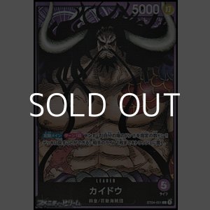 画像: 【L】カイドウ