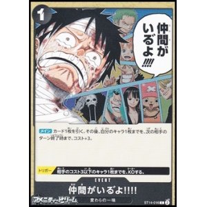 画像: 【C】仲間がいる゛よ!!!!