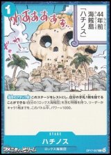画像: 【C】ハチノス