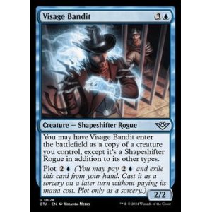 画像: 【英語】相貌詐欺/Visage Bandit