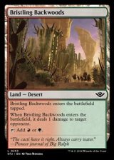 画像: 【英語】逆棘の辺境林/Bristling Backwoods