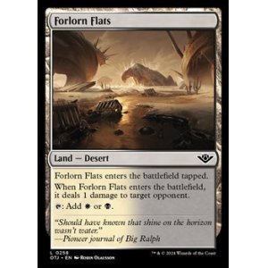 画像: 【英語】荒れ果てた干潟/Forlorn Flats