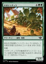 画像: 【日本語】サボテンチュラ/Cactarantula