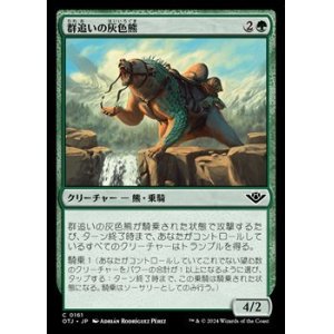 画像: 【日本語】群追いの灰色熊/Drover Grizzly