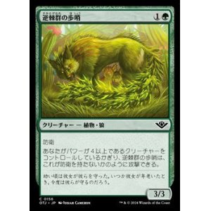 画像: 【日本語】逆棘群の歩哨/Bristlepack Sentry