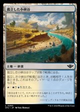 画像: 【日本語】孤立した小峡谷/Lonely Arroyo