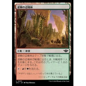 画像: 【日本語】逆棘の辺境林/Bristling Backwoods