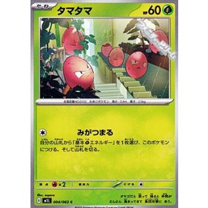 画像: 【C】タマタマ