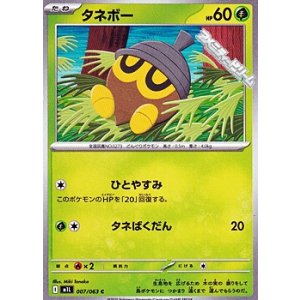 画像: 【C】タネボー