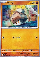 画像: 【C】コジオ
