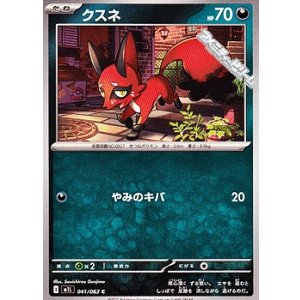 画像: 【C】クスネ