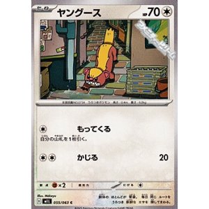 画像: 【C】ヤングース