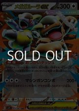 画像: 【RR】メガガルーラex