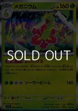 画像: 【R】メガニウム