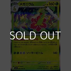 画像: 【R】メガニウム