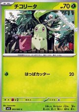 画像: 【C】チコリータ