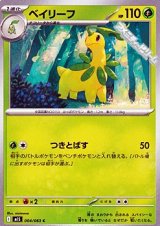画像: 【C】ベイリーフ