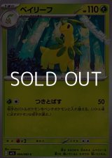 画像: 【C】ベイリーフ