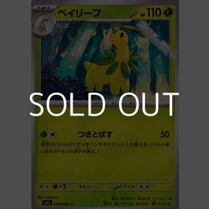 画像: 【C】ベイリーフ