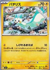画像: 【C】パチリス