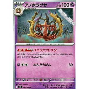 画像: 【U】アノホラグサ