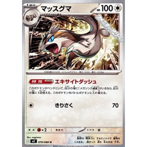 画像: 【U】マッスグマ