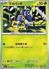 画像: 【C】マメバッタ