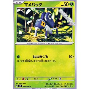 画像: 【C】マメバッタ