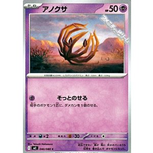 画像: 【C】アノクサ