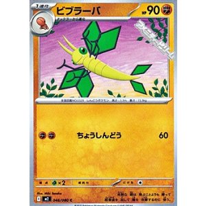 画像: 【C】ビブラーバ