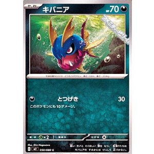 画像: 【C】キバニア