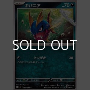 画像: 【C】キバニア