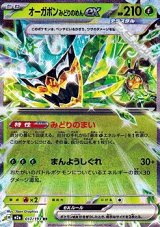 画像: 【RR】オーガポン みどりのめんex