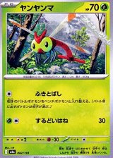 画像: 【ノーマル】ヤンヤンマ