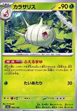 画像: 【ノーマル】カラサリス