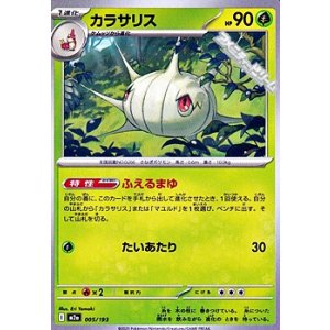 画像: 【ノーマル】カラサリス