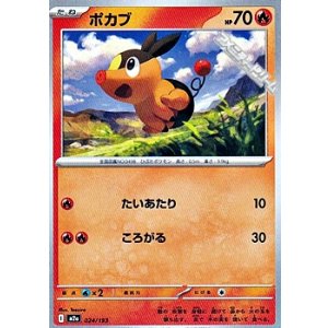 画像: 【ノーマル】ポカブ