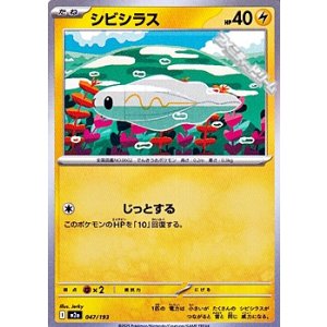 画像: 【ノーマル】シビシラス