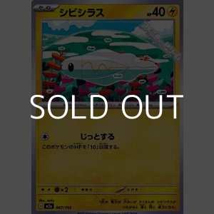 画像: 【ノーマル】シビシラス