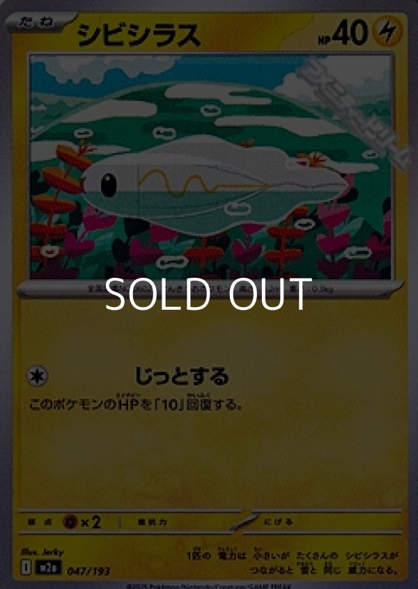 画像1: 【ノーマル】シビシラス (1)