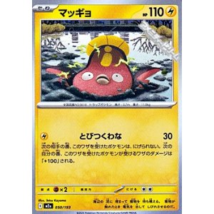 画像: 【ノーマル】マッギョ