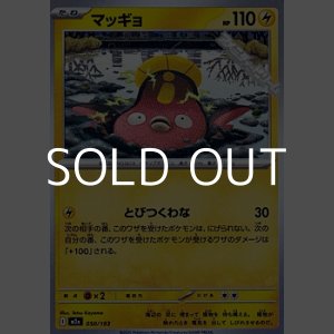 画像: 【ノーマル】マッギョ