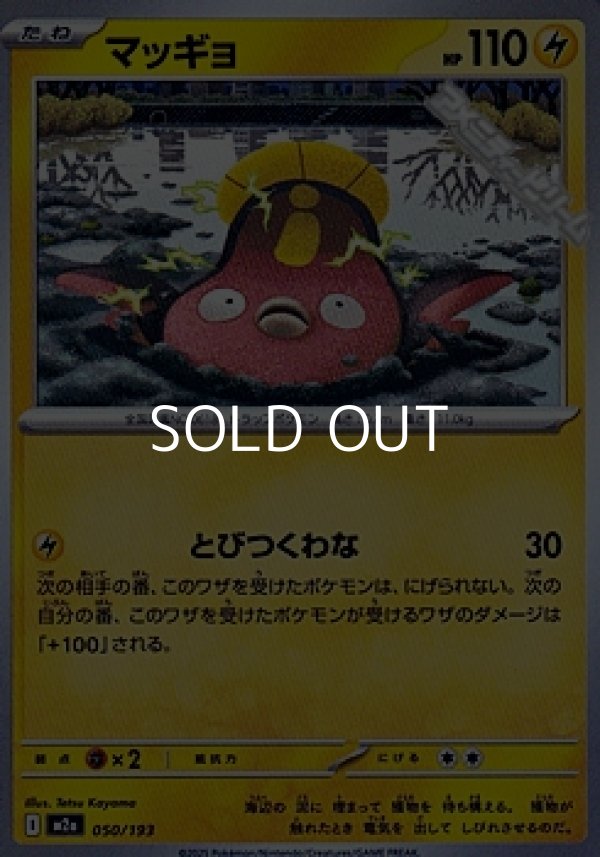 画像1: 【ノーマル】マッギョ (1)