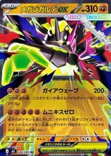 画像: 【RR】メガジガルデex