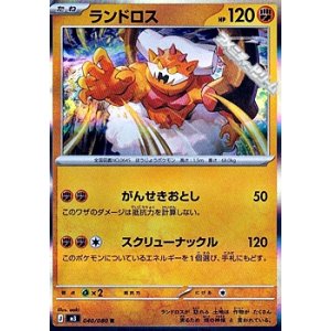 画像: 【R】ランドロス