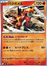 画像: 【U】バクガメス