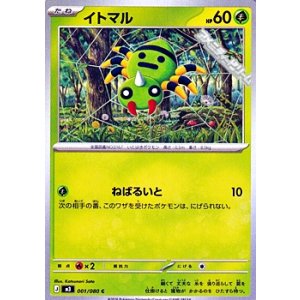 画像: 【C】イトマル